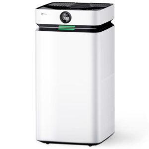 Airdog X8 Home Air Purifier for Rooms Up to 1,000 sqft. - Patented TPA Tech Up to 20X More Effective than HEPA - Washable Filter and Whisper Quiet
