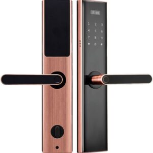 App Elektronisches biometrisches Smart-Schloss, Edelstahl, Fingerabdruck, digitales Passwort, RIFD-Karte, Türschloss, Haussicherheit (Farbe: E, Größe: 6085-3) (D Feb)