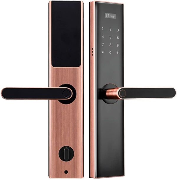 App Elektronisches biometrisches Smart-Schloss, Edelstahl, Fingerabdruck, digitales Passwort, RIFD-Karte, Türschloss, Haussicherheit (Farbe: E, Größe: 6085-3) (D Feb)
