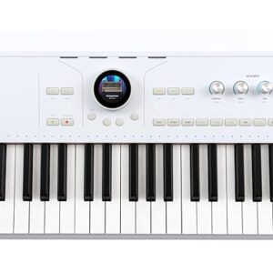 Arturia AstroLab 61-Key Semi-Weighted Stage Keyboard — With 1300 Sounds and Analog Lab Pro Software Included