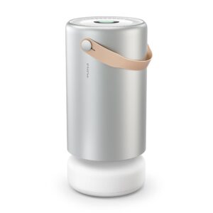 Molekule Air Pro Air Purifier - Purifies Rooms Up to 1000 Sq Ft with High Foot Traffic - FDA Cleared for Destruction of Viruses, Bacteria & Mold - Silver