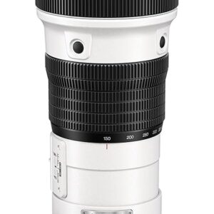 OM SYSTEM Olympus M.Zuiko Digital ED 150-400mm F4.5 TC1.25x is PRO Lens